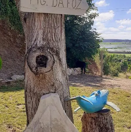 ***** Quinta Do Por Do Sol ***** Figueira da Foz