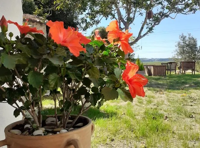 Lejlighed ***** Quinta Do Por Do Sol ***** Figueira da Foz